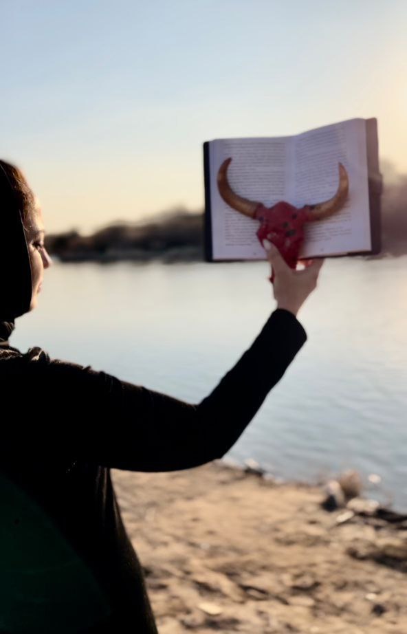 photo_2026-02-06_12-38-03